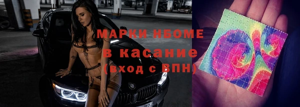 гидра Алексин