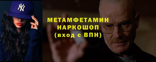 гидра Алексин