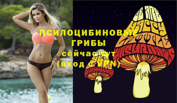 тгк Алексеевка