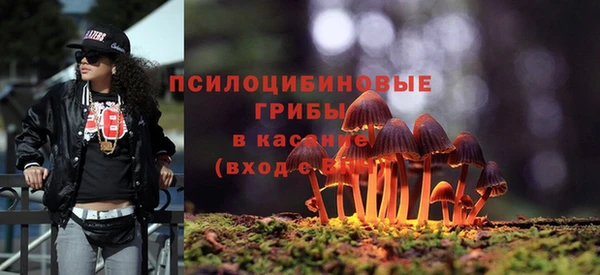 сатива Алзамай