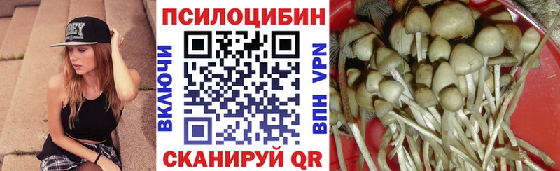 где купить Хотьково Псилоцибиновые грибы мицелий